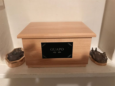 Guapo's Bronze Paws and Urn