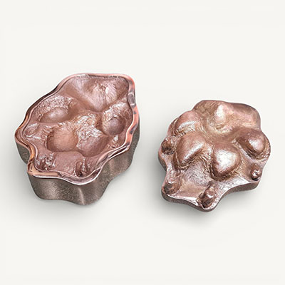 Large bronze dog paw set