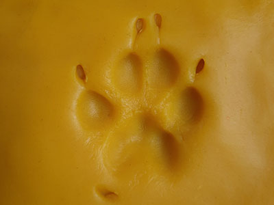example of a dog paw impression in Play-Doh.