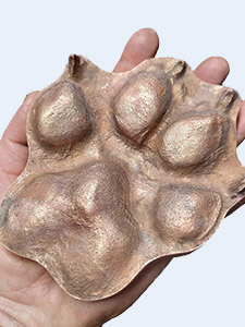 Giant Pet-Paw