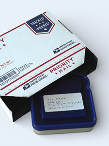 Pet-Paw Impression Kit