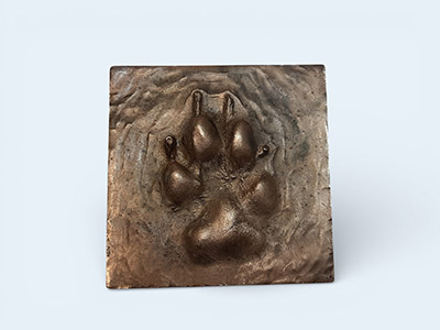 bronzes Pet-Paw tile