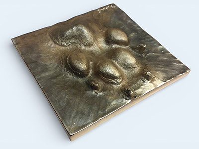 Bronze Pet-Paw tile