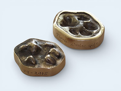 Small cat Pet-Paw set with inscription on edge