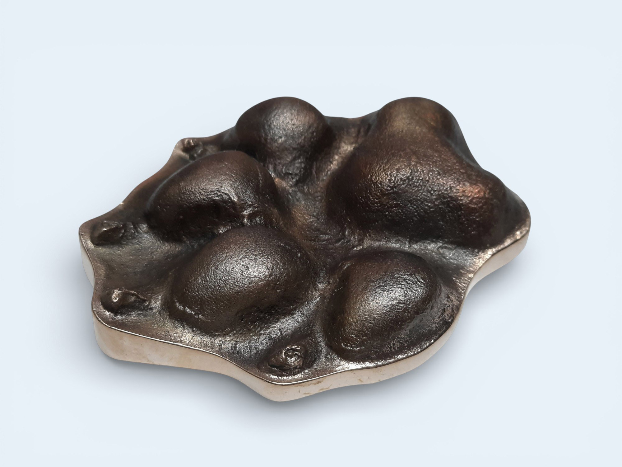 Bronze dog paw in relief style